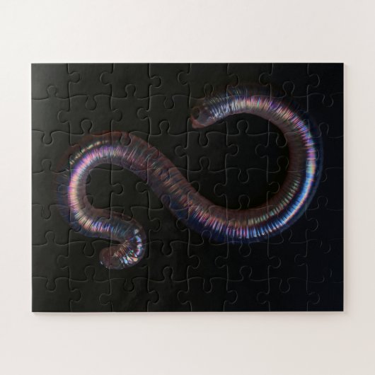     De Worm Collectie  Legpuzzel (Horizontaal)