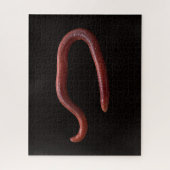    De Worm Collectie  Legpuzzel (Verticaal)