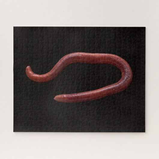     De Worm Collectie  Legpuzzel (Horizontaal)