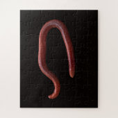     De Worm Collectie  Legpuzzel (Verticaal)