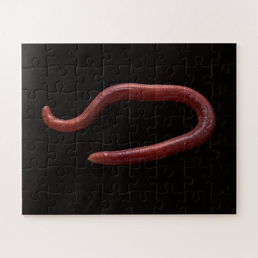     De Worm Collectie  Legpuzzel (Horizontaal)