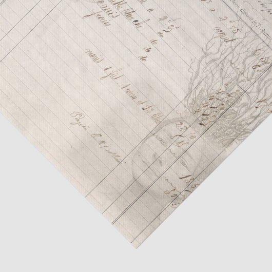 De wortel van het Al Tissuepapier (Detail)