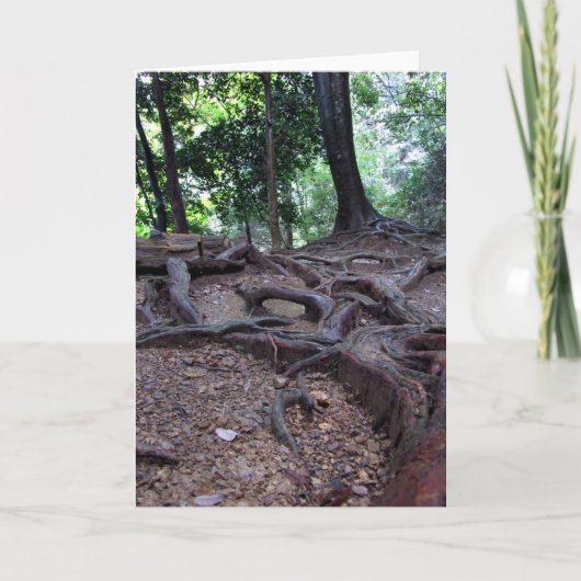 De wortels van de boom op Mt. Kurama Kaart (Voorkant)