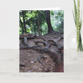 De wortels van de boom op Mt. Kurama Kaart