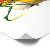 De wraak van de groentehelden poster (Hoek)