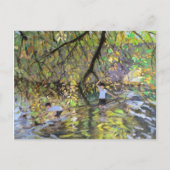 De Wye 2008 Briefkaart (Voorkant)