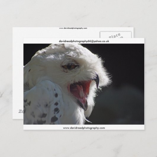 De Yawn Briefkaart (Voorkant / Achterkant)