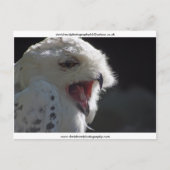 De Yawn Briefkaart (Voorkant)