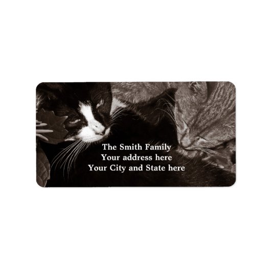 De Yin Yang Katten Etiket (Voorkant)