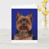 De Yorkie Kaart (Gele Bloem)