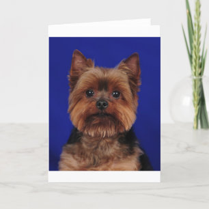 De Yorkie Kaart