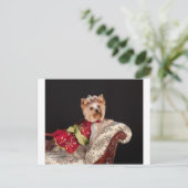 De Yorkie Queen Briefkaart (Staand voorkant)