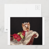 De Yorkie Queen Briefkaart (Voorkant / Achterkant)