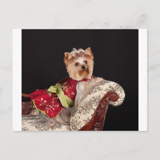 De Yorkie Queen Briefkaart (Voorkant)