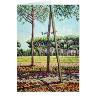 De Young Pine 2009