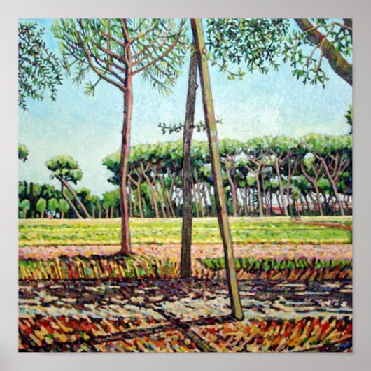 De Young Pine 2009 Poster (Voorkant)