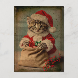 De 'Yuletide Yawn' Dashing Kitten Kerstmis Briefkaart