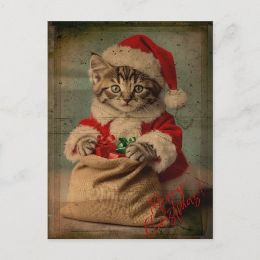 De 'Yuletide Yawn' Dashing Kitten Kerstmis Briefkaart (Voorkant)