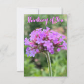 De Z "Thinking of You"-close-upkaart Bedankkaart (Voorkant)