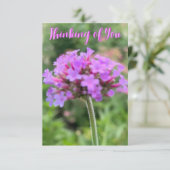 De Z "Thinking of You"-close-upkaart Bedankkaart (Staand voorkant)