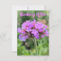 De Z "Thinking of You"-close-upkaart