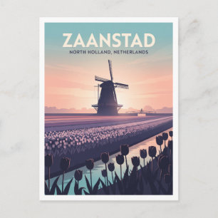 De Zaanse Schans Tulpenvelden Zaandam Nederland Briefkaart