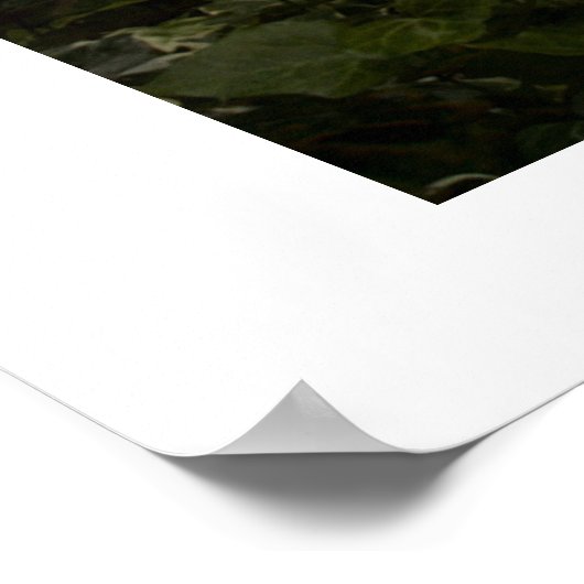 De zachte beweging van de dans (Multi No 4) Poster (Hoek)