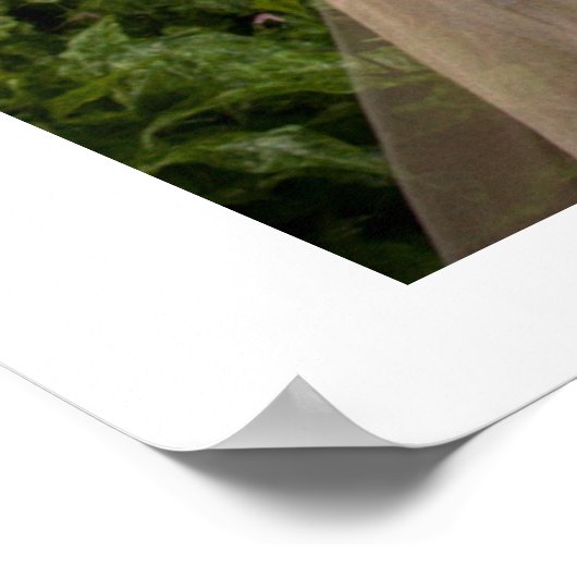 De zachte beweging van de dans (Multi No. 6) Poster (Hoek)