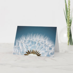 De Zaden van de paardebloem Kaart