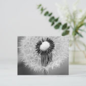 De zaden van Morgen Briefkaart (Staand voorkant)