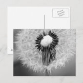 De zaden van Morgen Briefkaart (Voorkant / Achterkant)