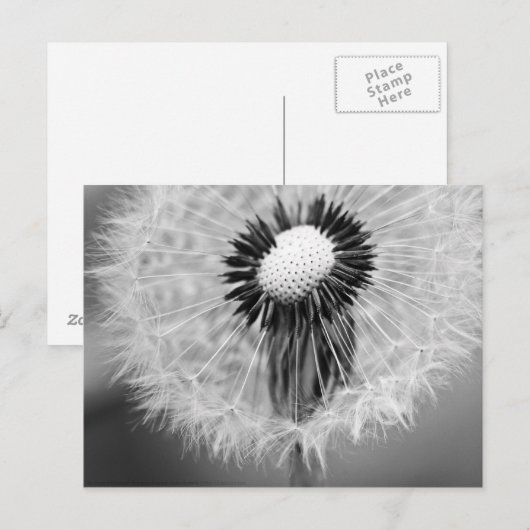 De zaden van Morgen Briefkaart (Voorkant / Achterkant)