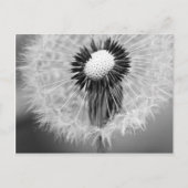 De zaden van Morgen Briefkaart (Voorkant)