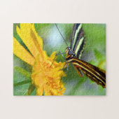 De zebra longwing legpuzzel (Horizontaal)