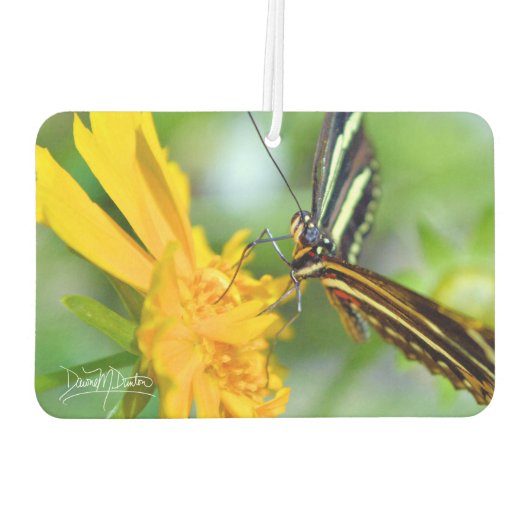 De zebra longwing luchtverfrisser (Achterkant)