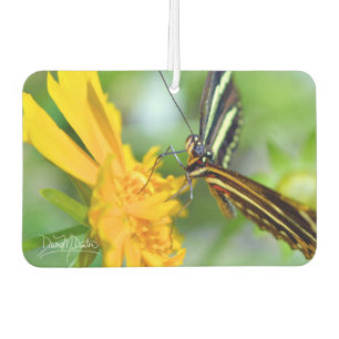 De zebra longwing luchtverfrisser