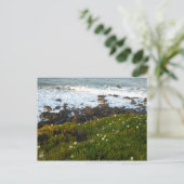 De Zee Cliffs in Crescent City negeren Briefkaart (Staand voorkant)