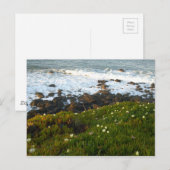 De Zee Cliffs in Crescent City negeren Briefkaart (Voorkant / Achterkant)