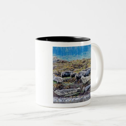 De Zee Lion familie Tweekleurige Koffiemok (Voorkant rechts)