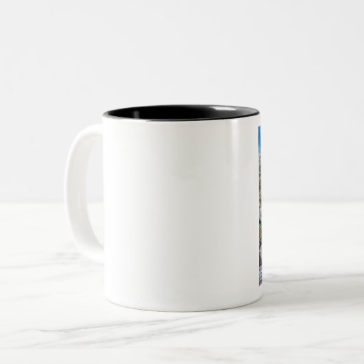 De Zee Lion familie Tweekleurige Koffiemok (Voorkant links)