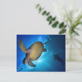De Zee schildpad en duiker Briefkaart (Staand voorkant)