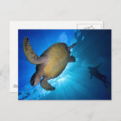 De Zee schildpad en duiker Briefkaart (Voorkant / Achterkant)