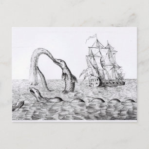 De Zee Serpent Briefkaart