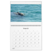 De zee vijf kalender (Mar 2027)
