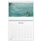 De zee vijf kalender (Jan 2027)