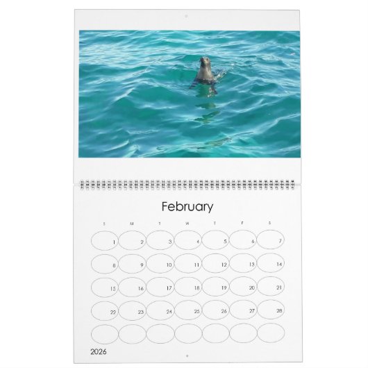 De zee vijf kalender (Feb 2026)