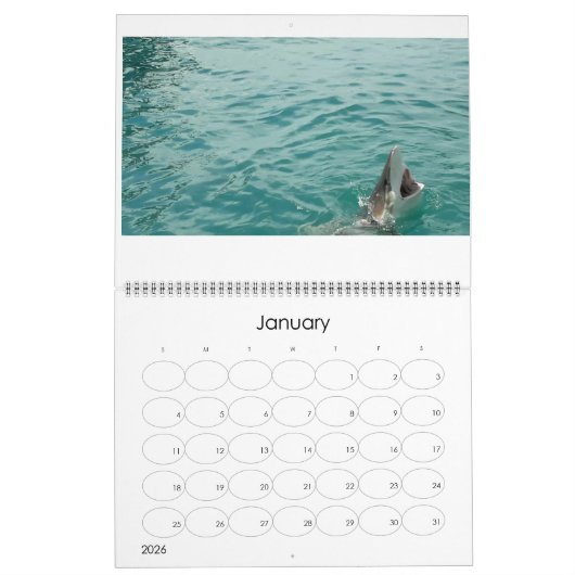 De zee vijf kalender (Jan 2026)