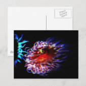 De Zeeanemonen van het neon Briefkaart (Voorkant / Achterkant)
