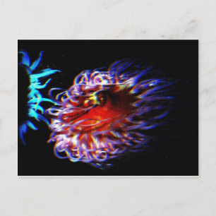 De Zeeanemonen van het neon Briefkaart