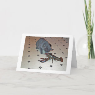 De zeekreeft bakt Kaart